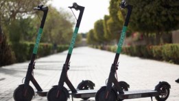 الرابيت- أرشيفية 