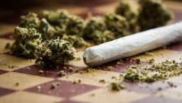 الماريجوانا