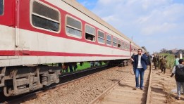 قطار الحامول