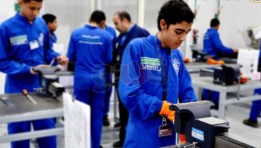 التعليم الفني