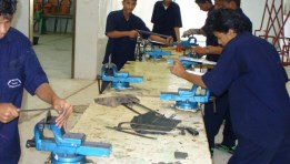 التعليم الفني