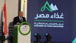 الفريق المهندس كامل الوزير