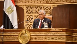 مجلس الشيوخ