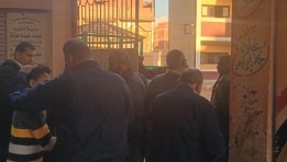 إقبال علي لجان بمحافظة الشرقية 