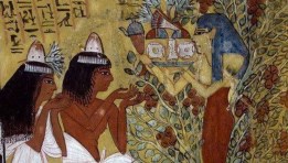 شجرة عيد الميلاد والتقويم واحتفالات عيد الميلاد