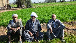 فلاحين ـ تعبيرية 