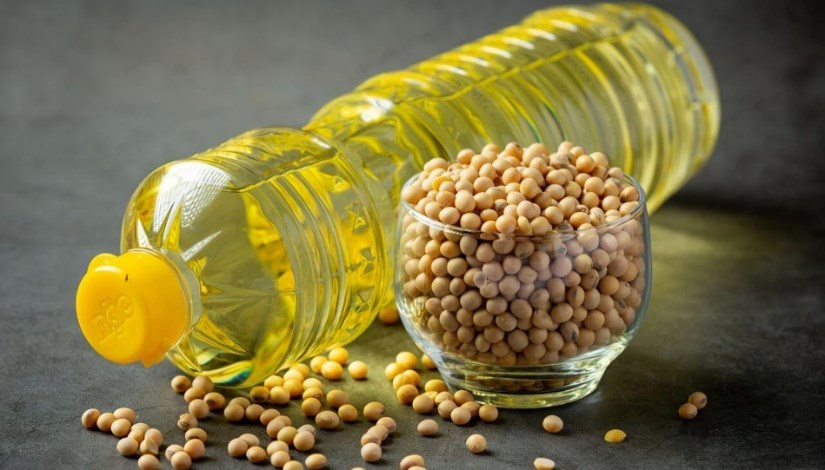 معالجة البذور الزيتية