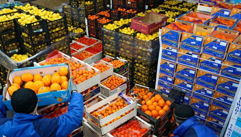 الصادرات الصناعات الغذائية