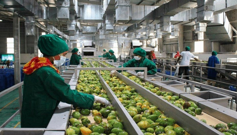 تصنيع الأغذية