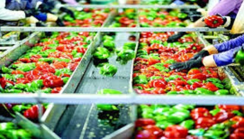 تصنيع الأغذية