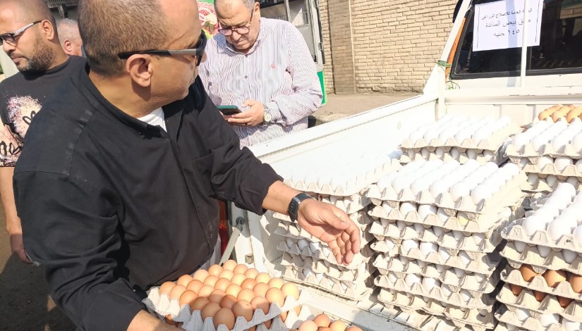 بيض المائدة