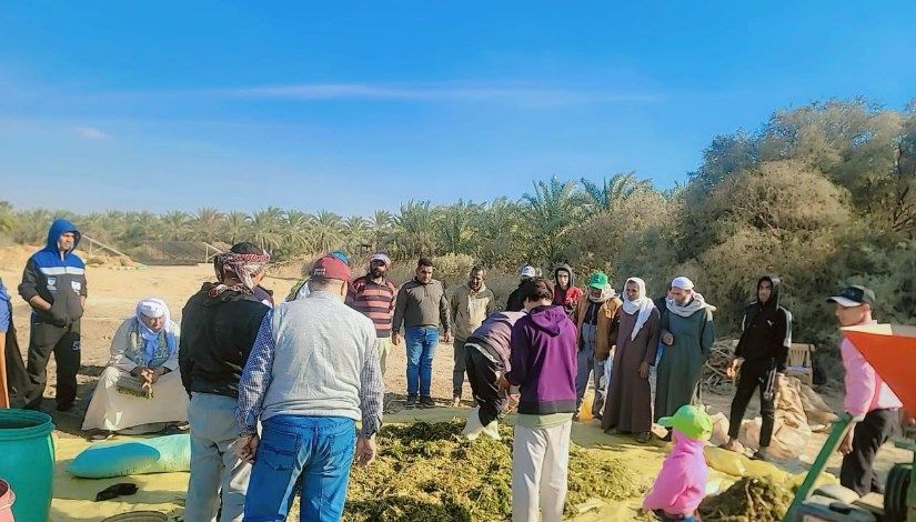  فعاليات مشروع “الزراعة الصحراوية المبتكرة من أجل سبل عيش قادرة على الصمود”