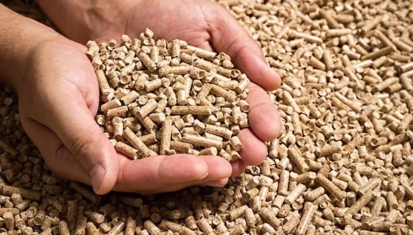 أعلاف الدواجن