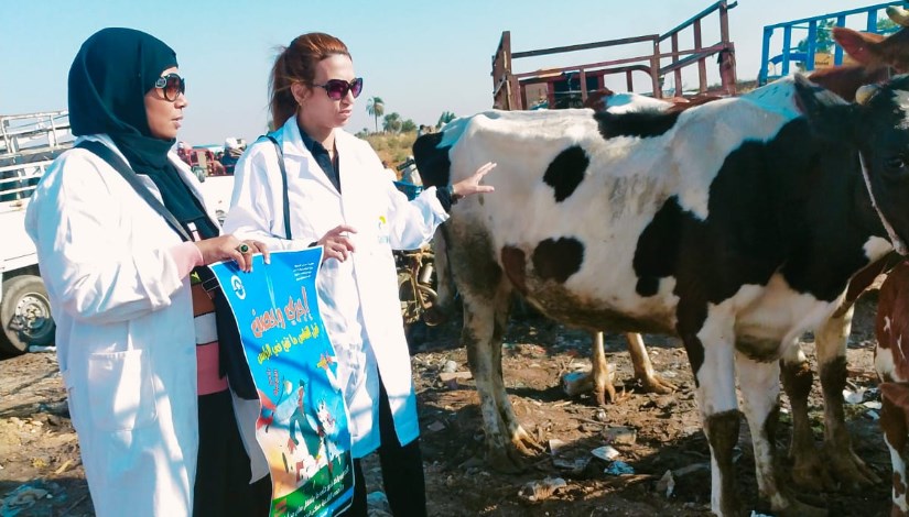 تحصين الماشية