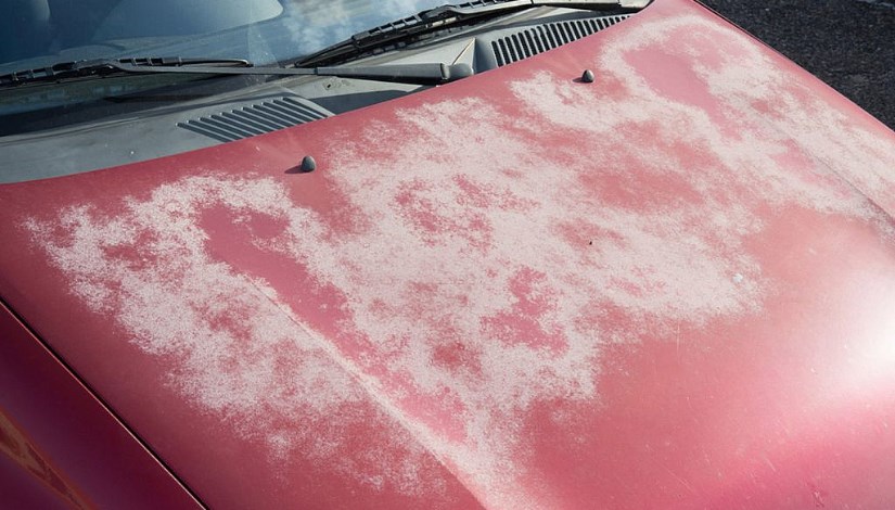  كلح بوية السيارة