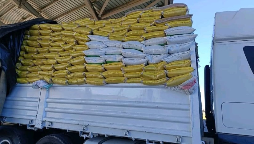 تهريب بذور زراعية