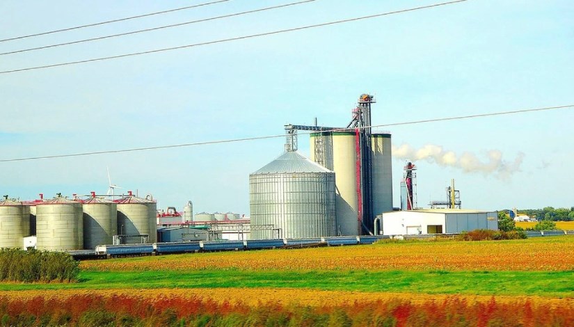 وقود حيوي- أرشيفية