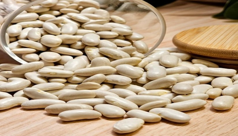  زراعة الفاصوليا البيضاء