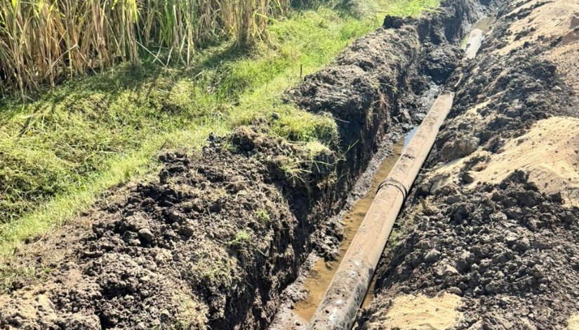  تطوير الري لمساحة تتجاوز 600 فدان