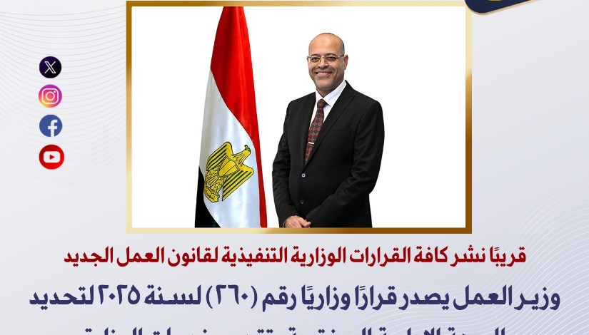 وزارة العمل المصرية 