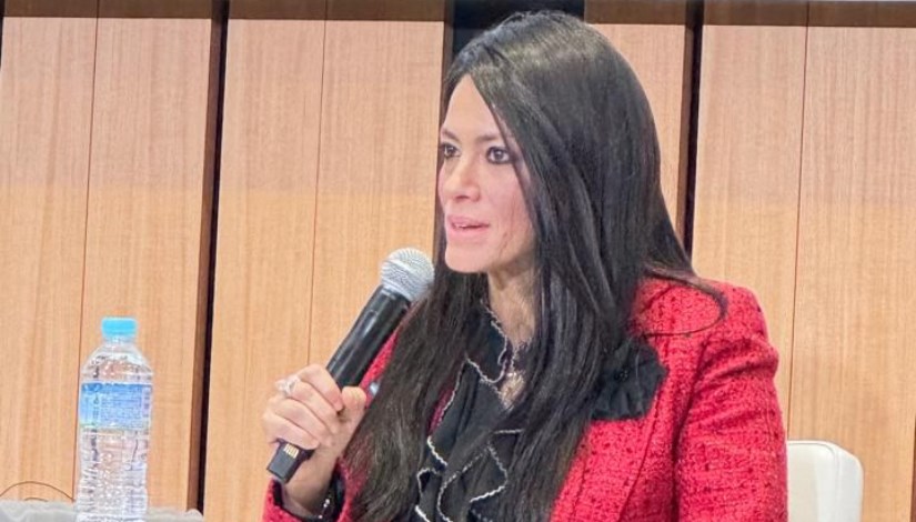 الدكتورة رانيا المشاط، وزيرة التخطيط