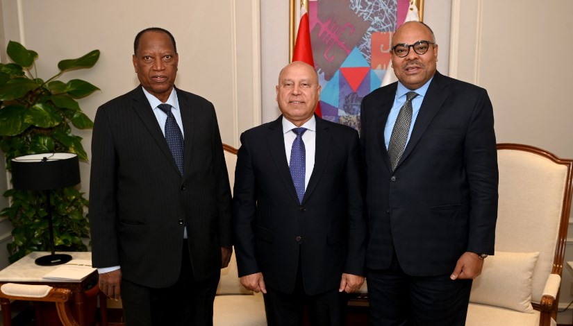 مصر وتنزانيا 