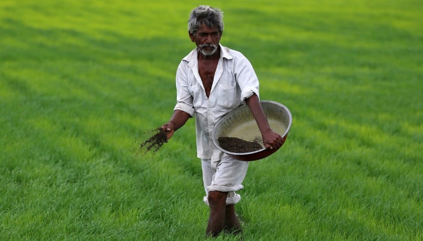 قطاع الزراعة والغذاء في الهند