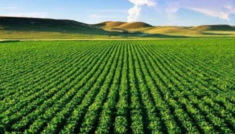 أرض زراعية- تعبيرية