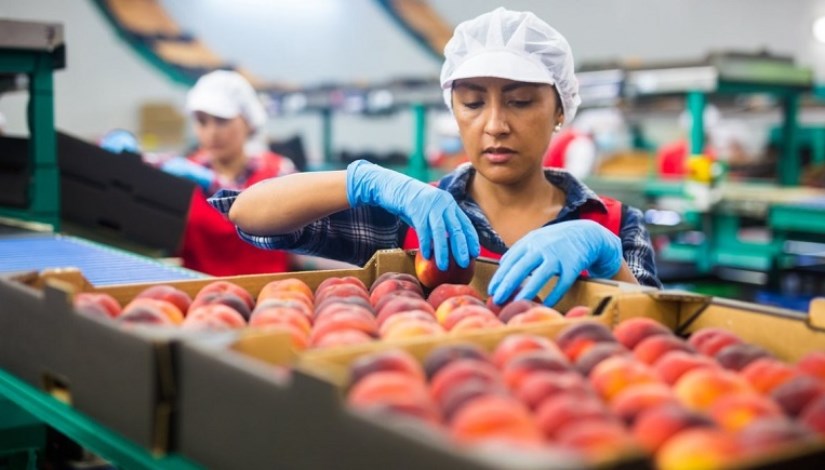 الصناعات الغذائية - تعبيرية