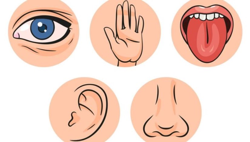 التسويق بالحواس