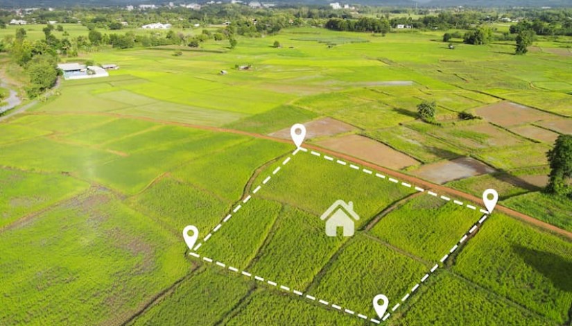  إلغاء تخصيص الأراضي