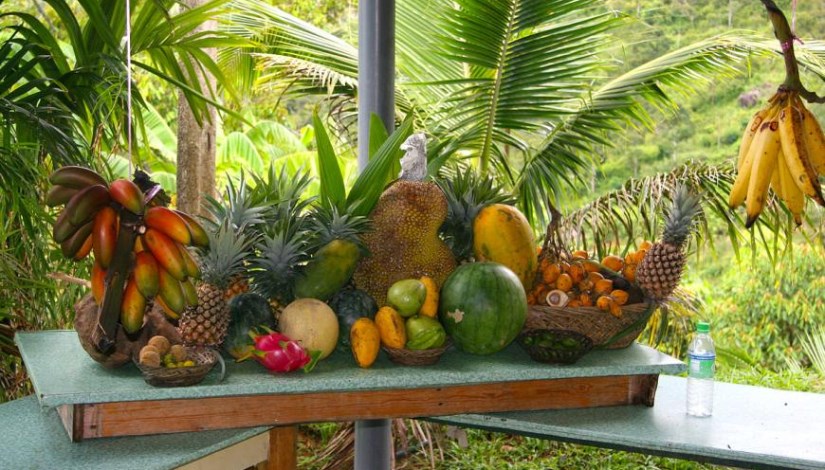 حديقة فاكهة 