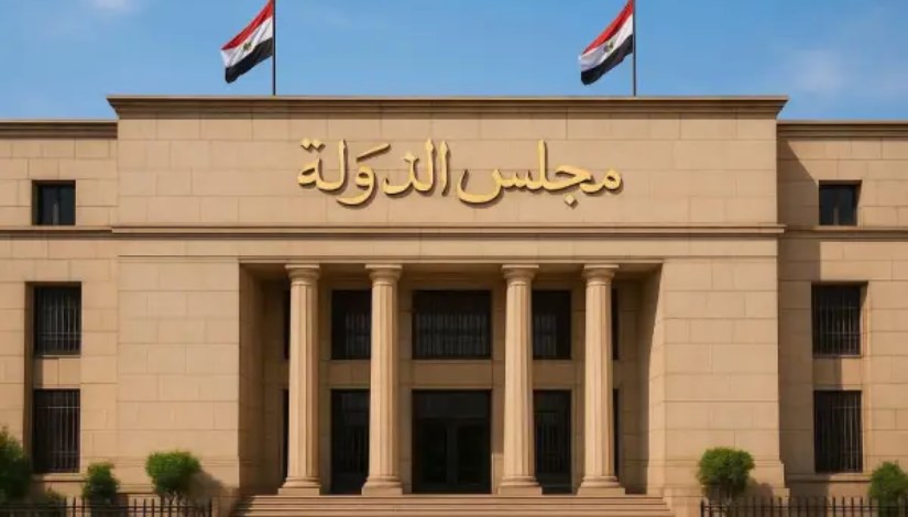 مجلس الدولة