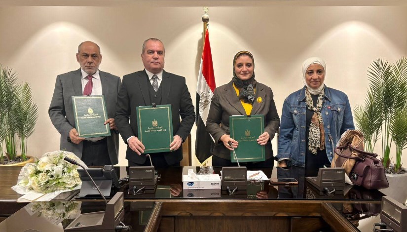 المصرية لنقل الكهرباء 