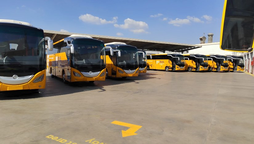 أتوبيسات مصرية