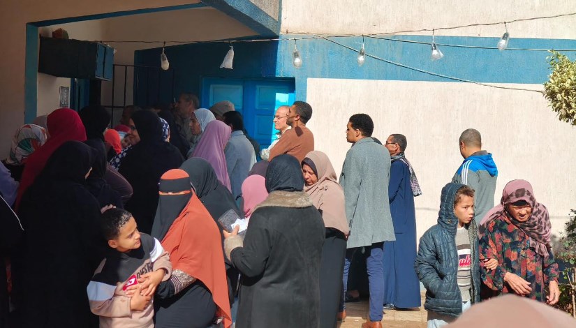 لجان محافظة البحيرة 