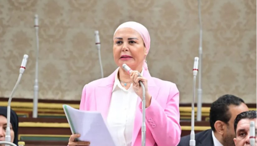 النائبة أمل سلامة عضو مجلس النواب