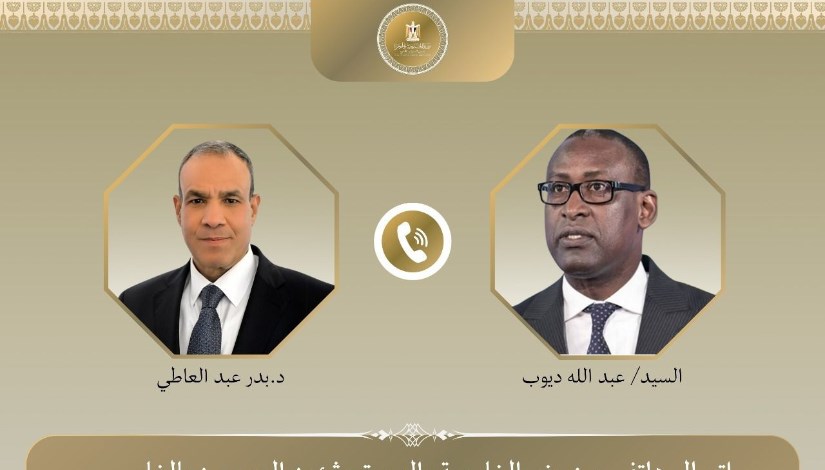 وزير الخارجية الدكتور بدر عبدالعاطي