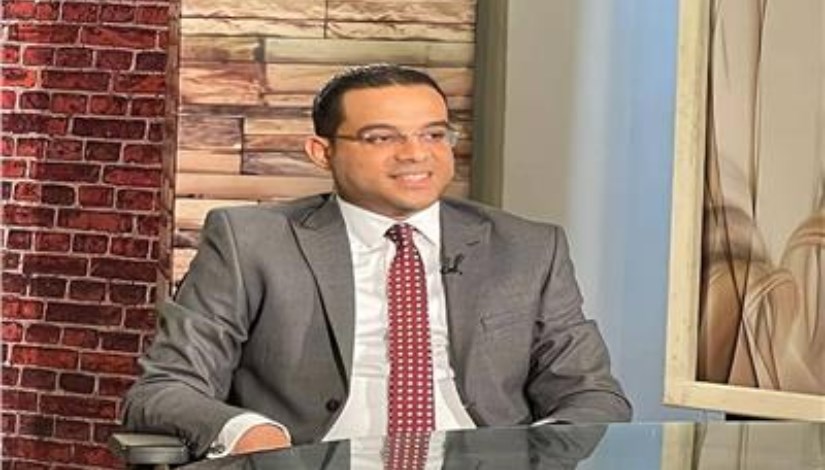 محمد محمود عبد الرحيم، الخبير الاقتصادي