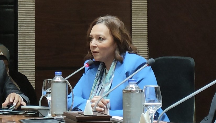 منة الله شركس، المدير العام لشركة ليبتون تي أند انفيوچنز مصر