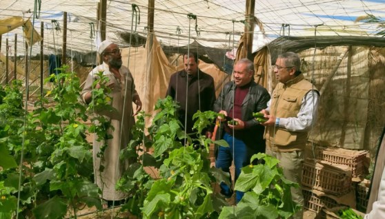 زيارة إلى محطة بحوث سيوة التابعة للمركز