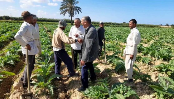 جانب من الجهود الإرشادية