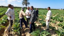 جانب من الجهود الإرشادية