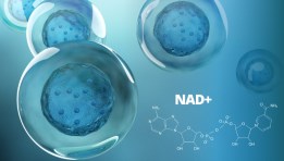 إنزيم NAD+