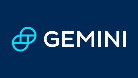  Gemini