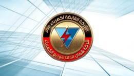 شركة شمال الدلتا لتوزيع الكهرباء