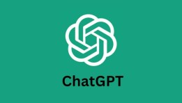  ChatGPT