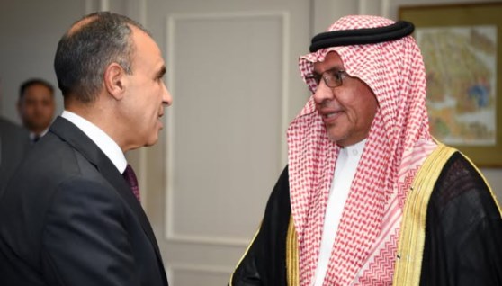 وزير الخارجية يستقبل أمين مجلس التنسيق الأعلى المصري السعودي
