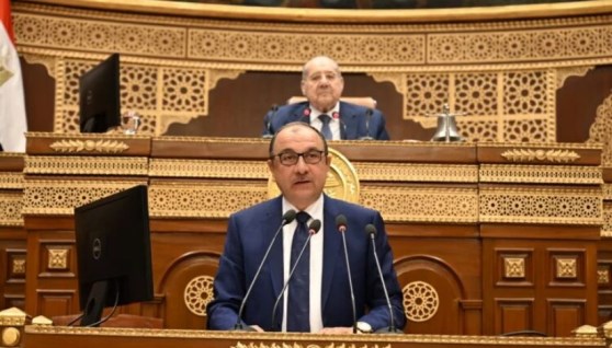 وزير قطاع الأعمال العام