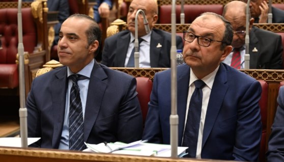 صورة من كلمة الوزير أمام مجلس الشيوخ